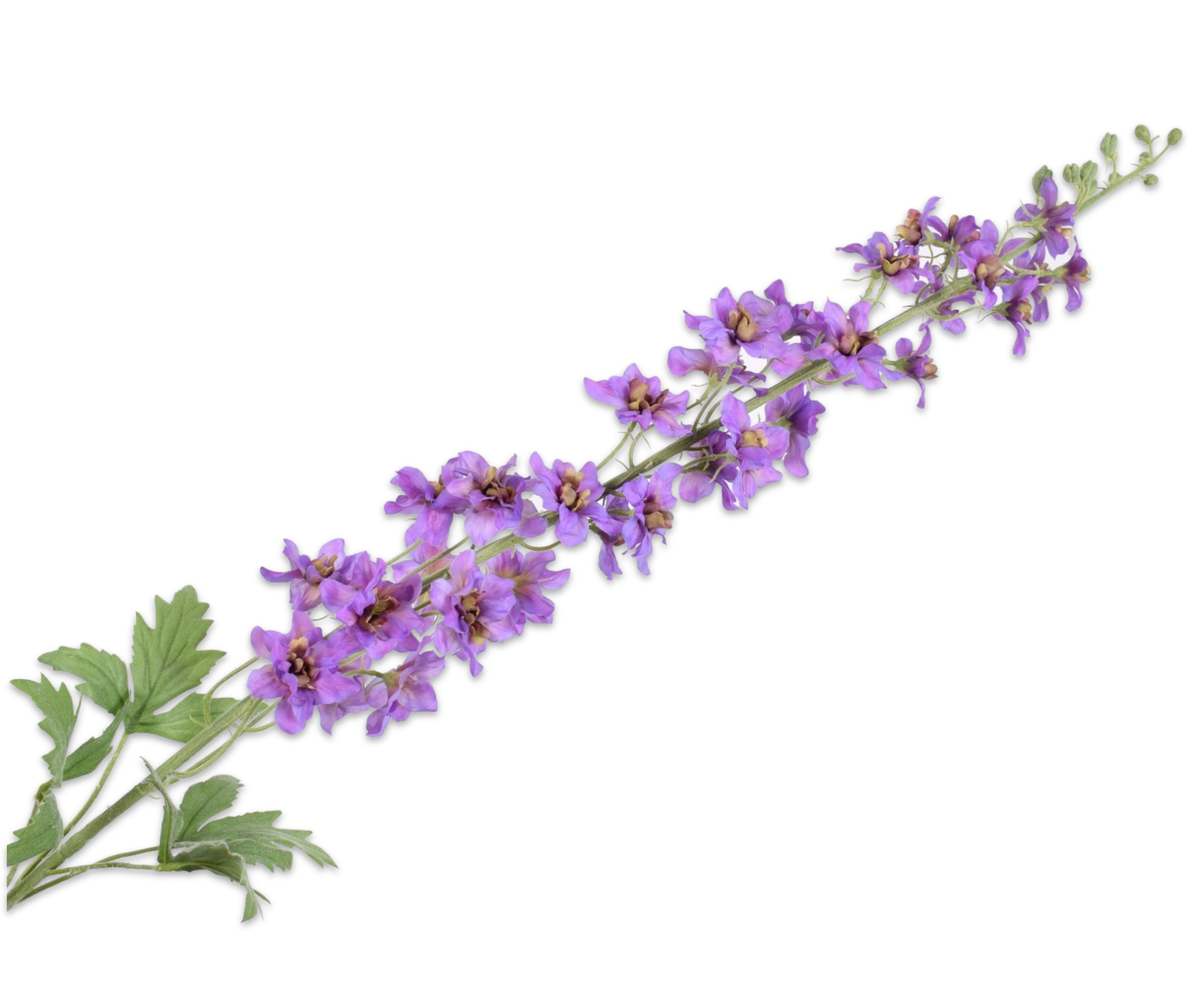 Silk-ka
