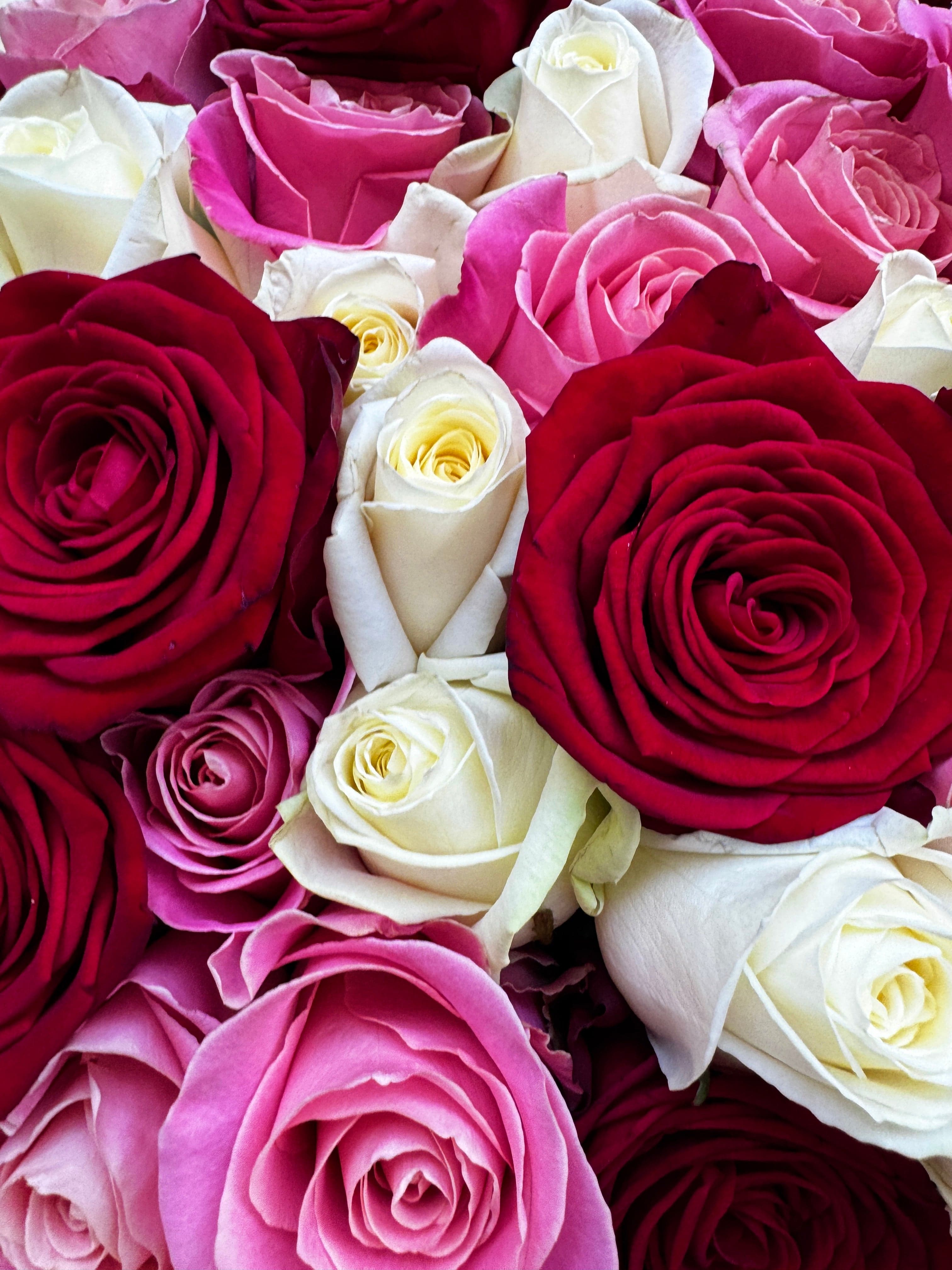 Choose Your Amount - White, Red & Pink roses
