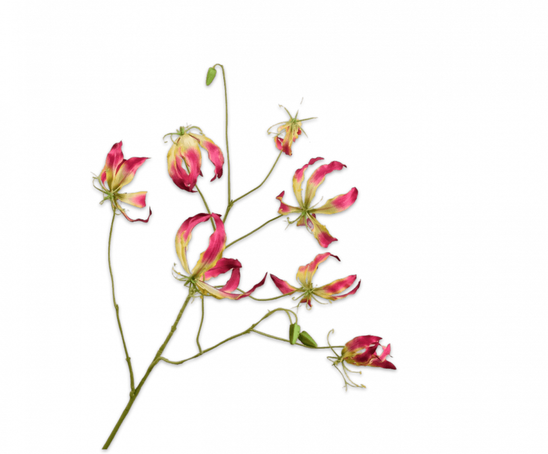 Silk Gloriosa Spray - Beauty