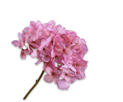 Silk pink hydrangea stem