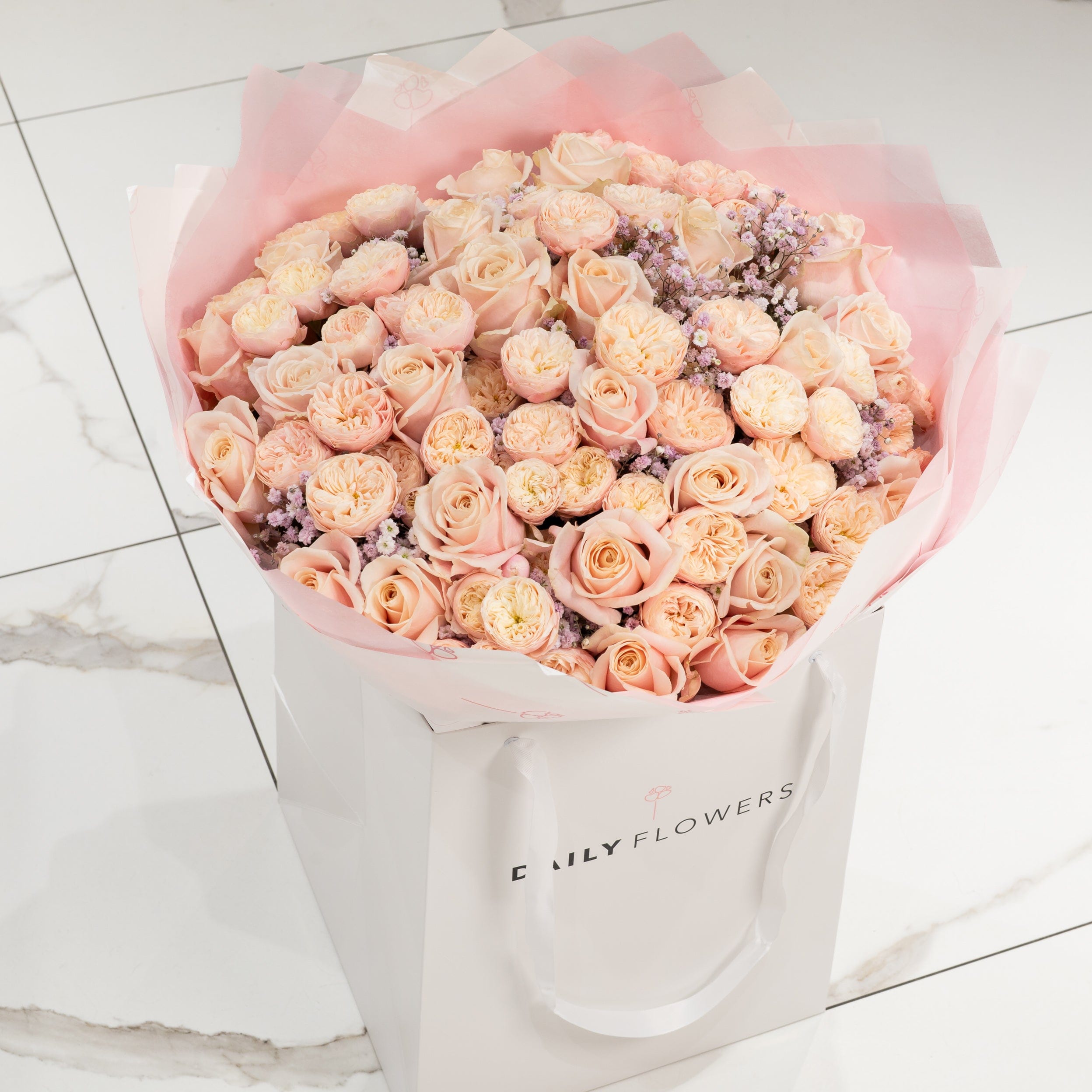 Pastel Princess - TikTok Favorites