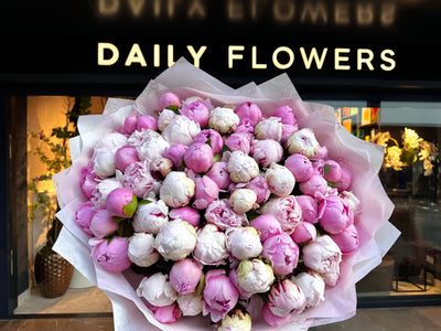 Big Pink Peony Melange - TikTok Favorites