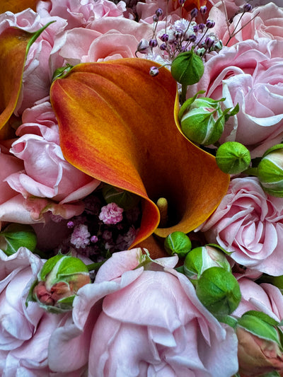 Blushing Fall Flowers bouquet close-up Daily Flowers