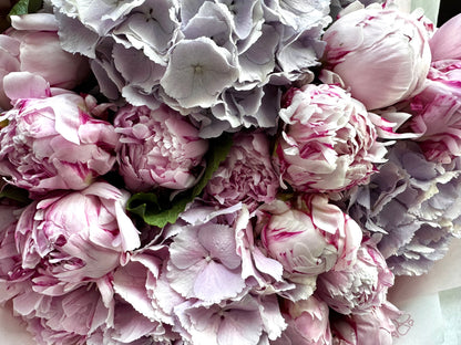 Peony fairytale dream - TikTok favorites