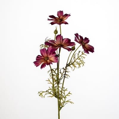 Artificial Cosmos Burgundy