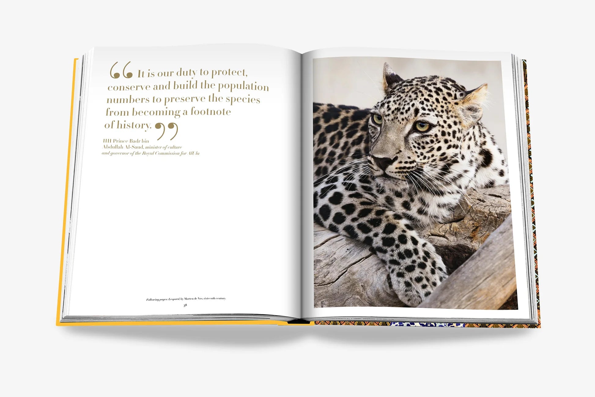 Assouline coffee table book - Arabian Leopard (Classic)