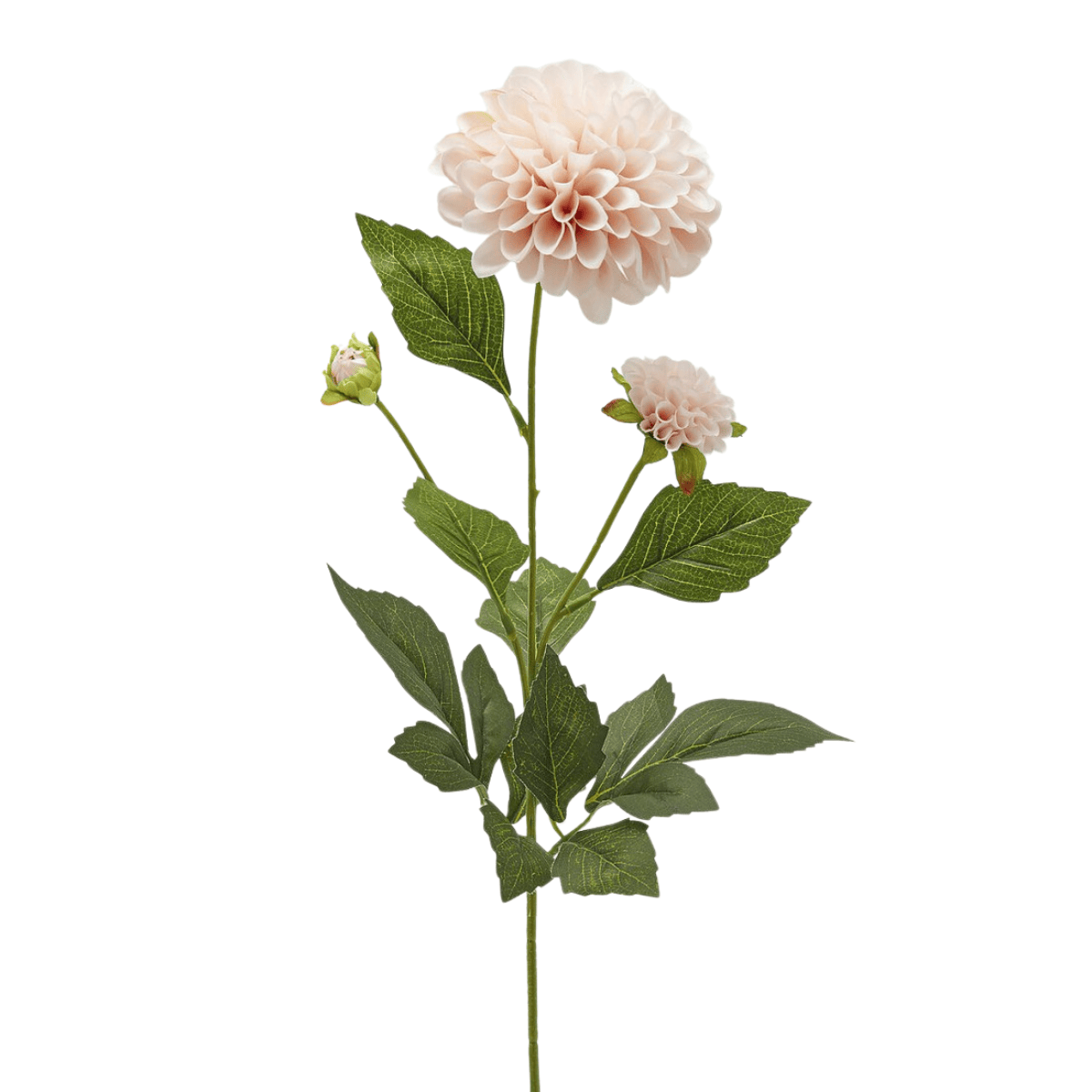Artificial Dahlia