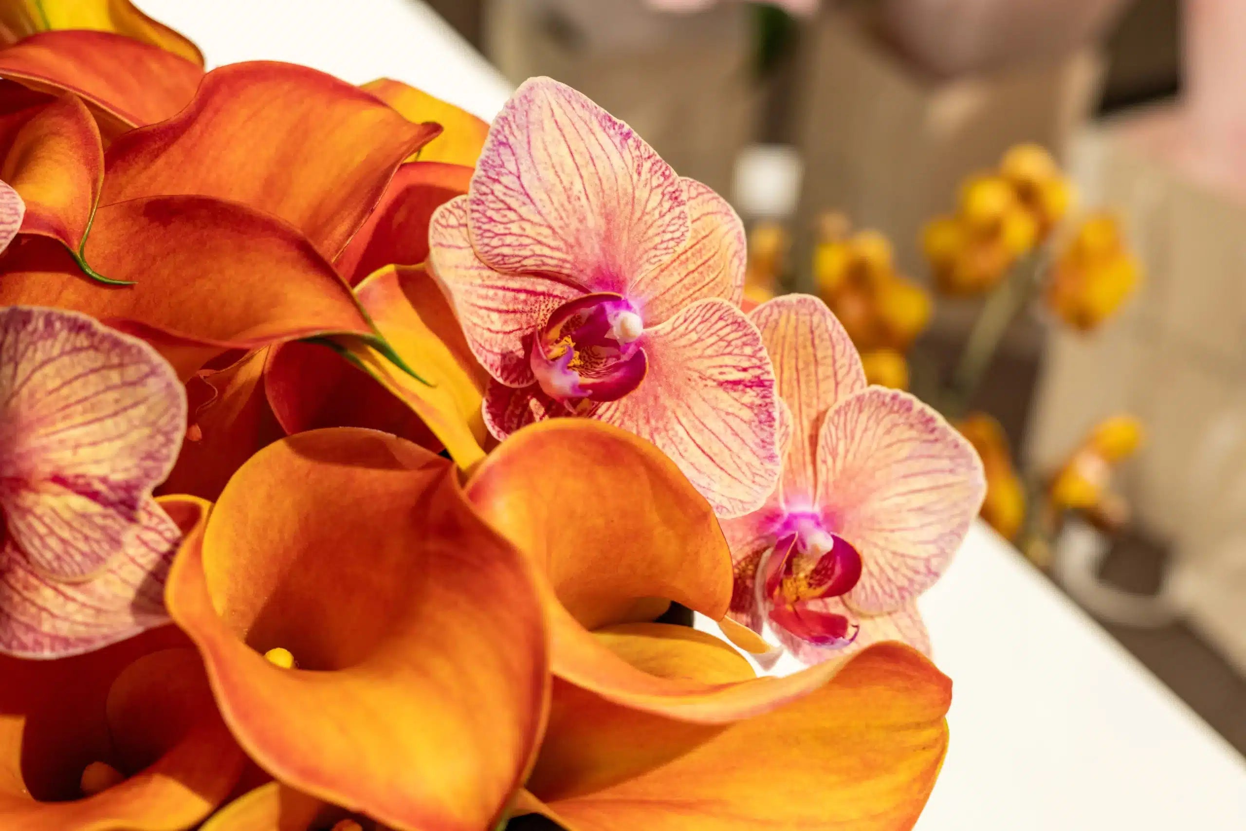 Flowers in a box - Autumn calla's