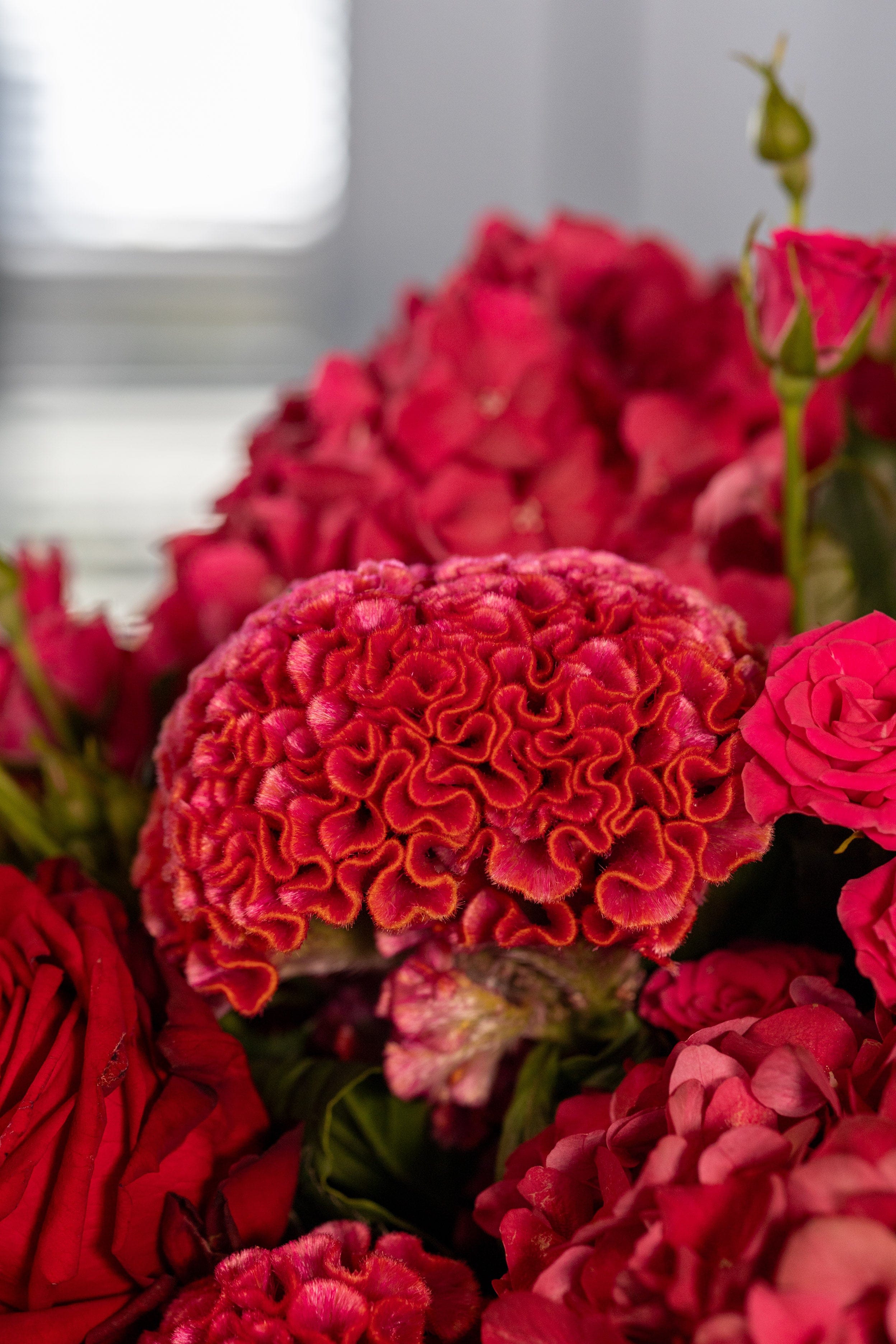 Fifth Avenue Fall Dream