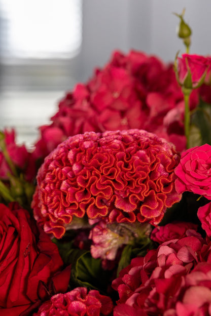 Fifth Avenue Fall Dream
