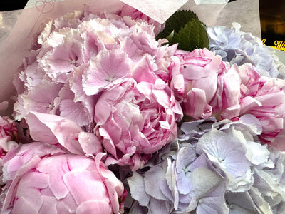 Peony Fairytale Dream