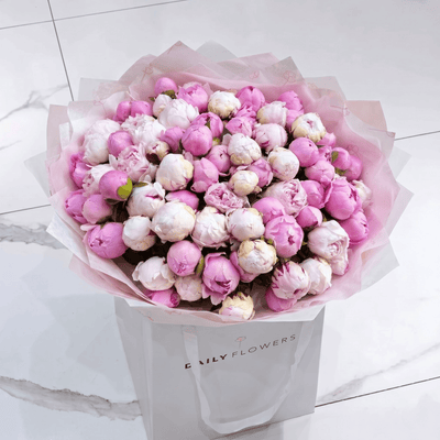 Big Pink Peony Melange