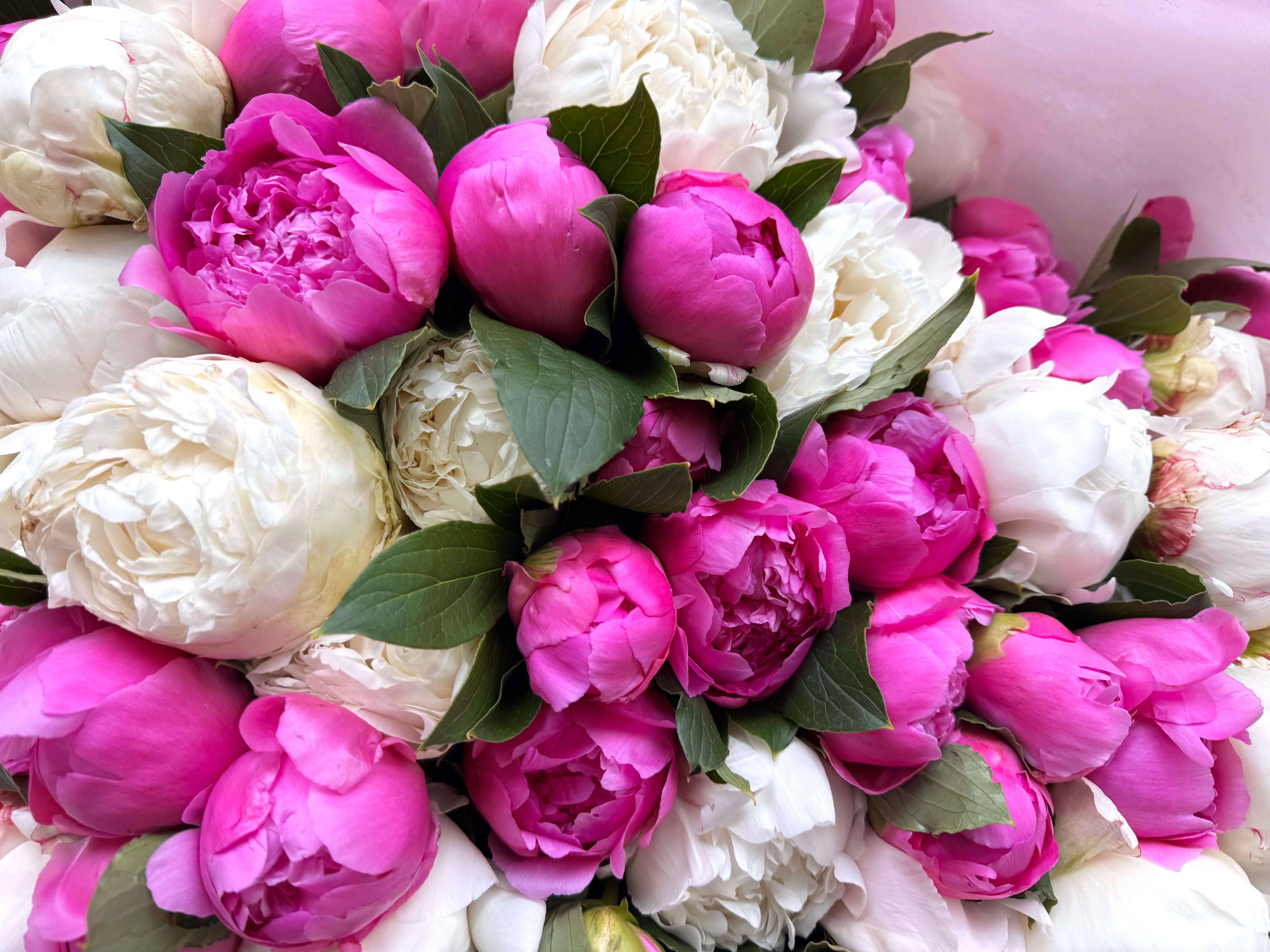 Big peony bouquet to dream about - TikTok favorites