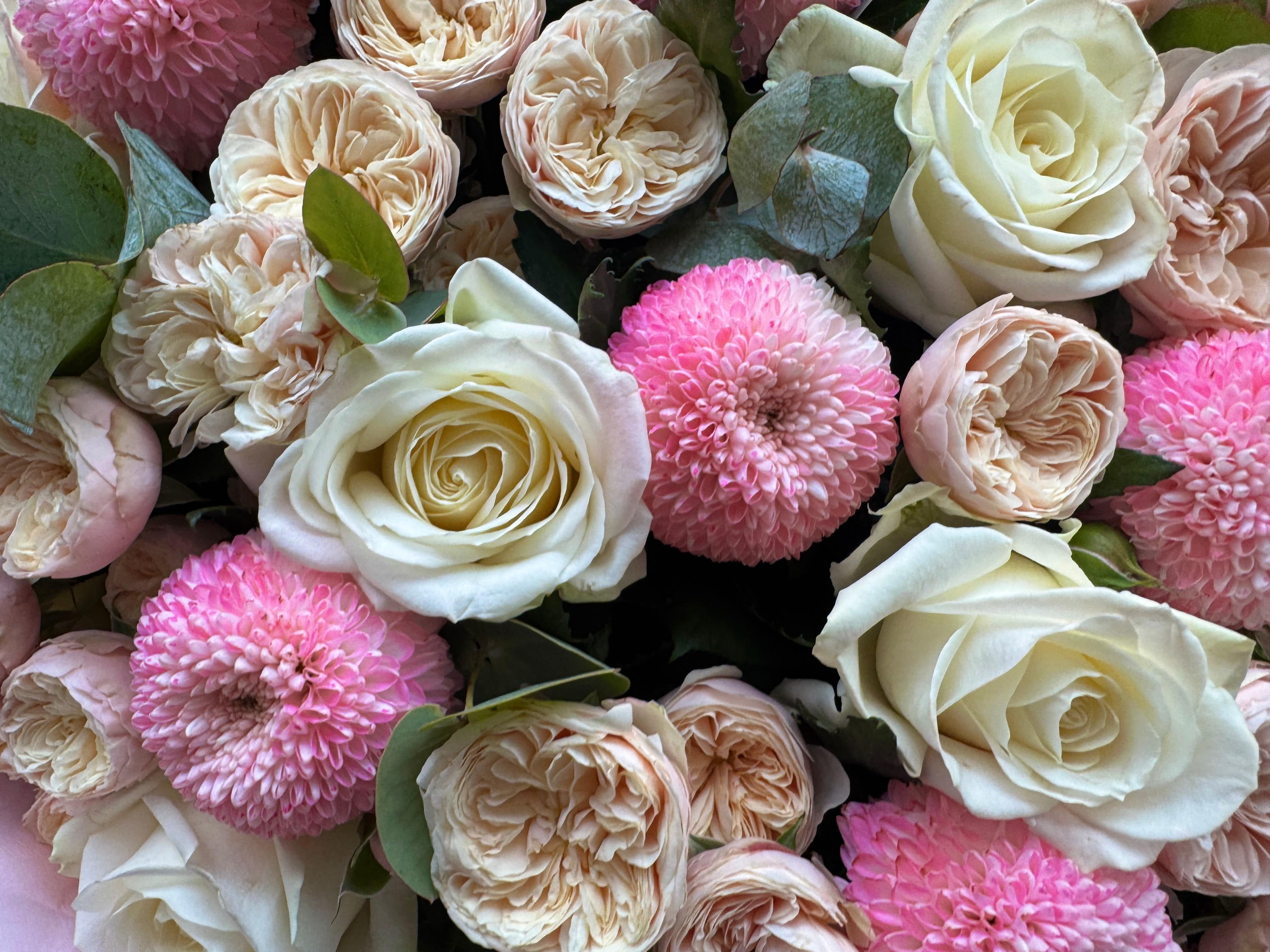 Blissful blush dream - TikTok favorites