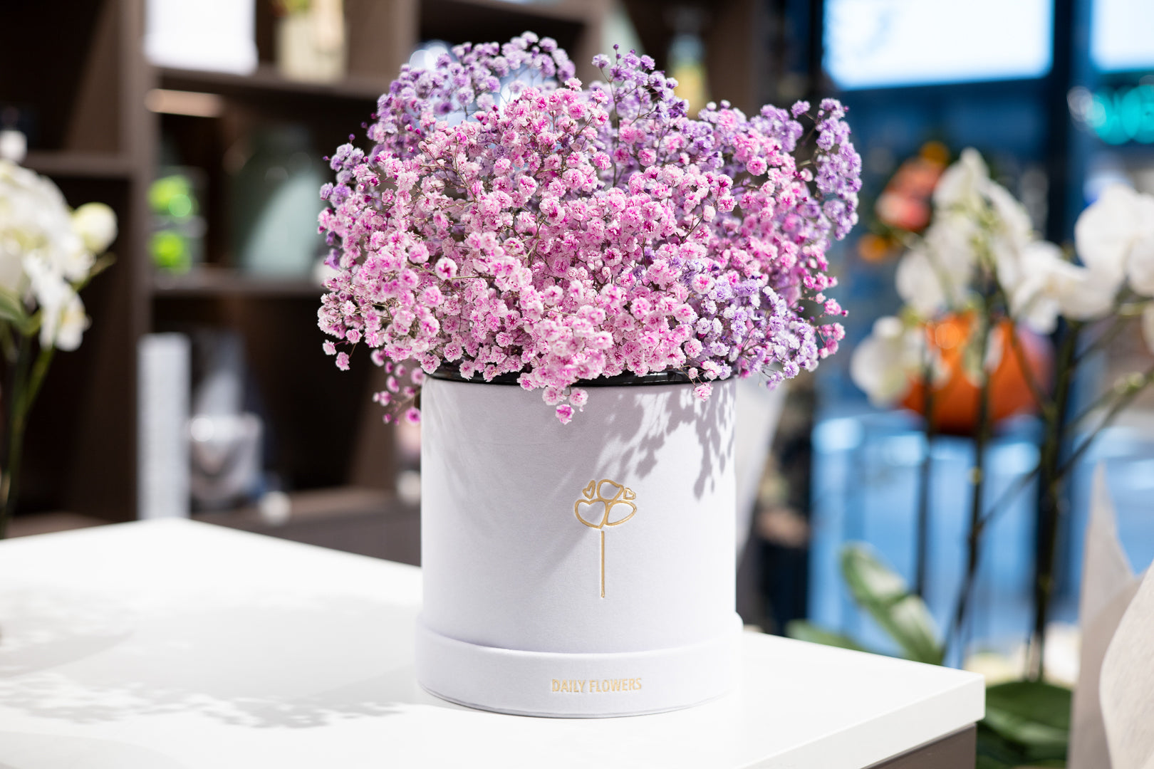 Flowers in a box - Colorful Baby's Breath