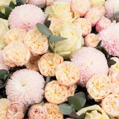 Blissful Blush Dream - TikTok Favorites