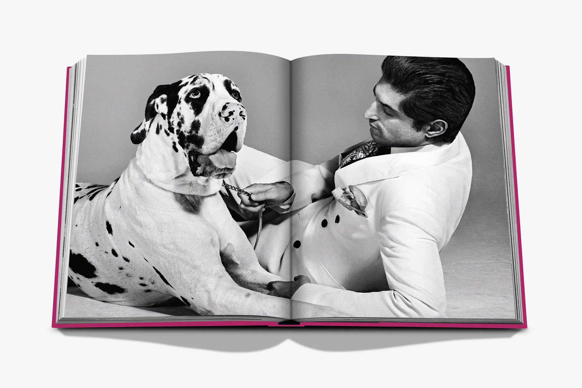 Assouline coffee table book - Chic dogs