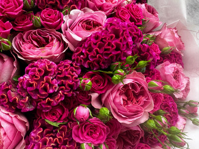 Candy Cane Chic flower bouquet close-up Daily Flowers Amsterdam