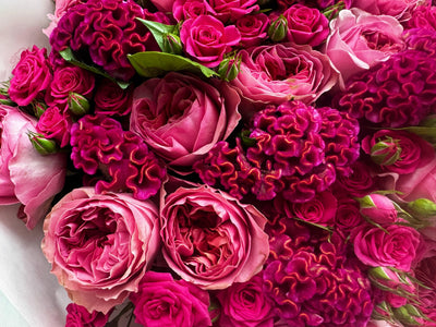 Candy Cane Chic flower bouquet close-up Daily Flowers Amsterdam