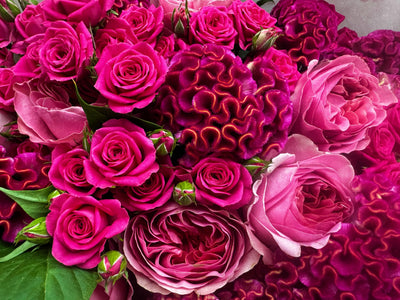 Candy Cane Chic flower bouquet close-up Daily Flowers Amsterdam
