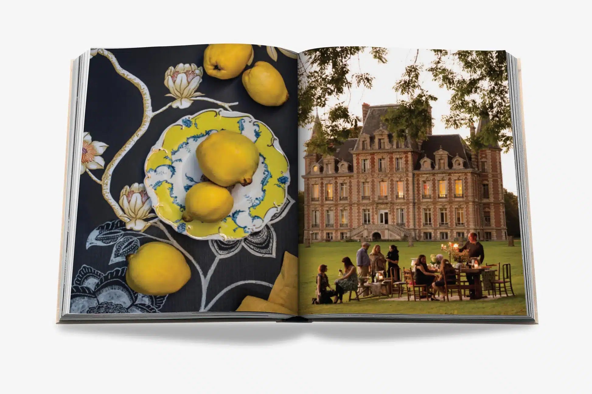 Assouline table book - chateau life - home decoration