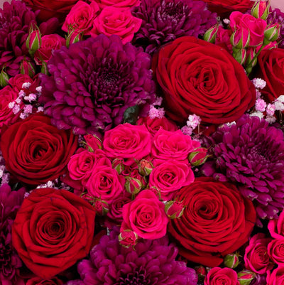 Chic Burgundy Beauty 