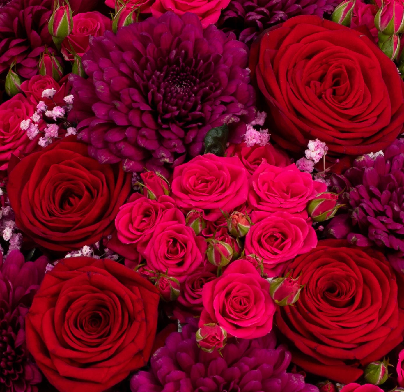 Chic Burgundy Beauty - TikTok Favorites