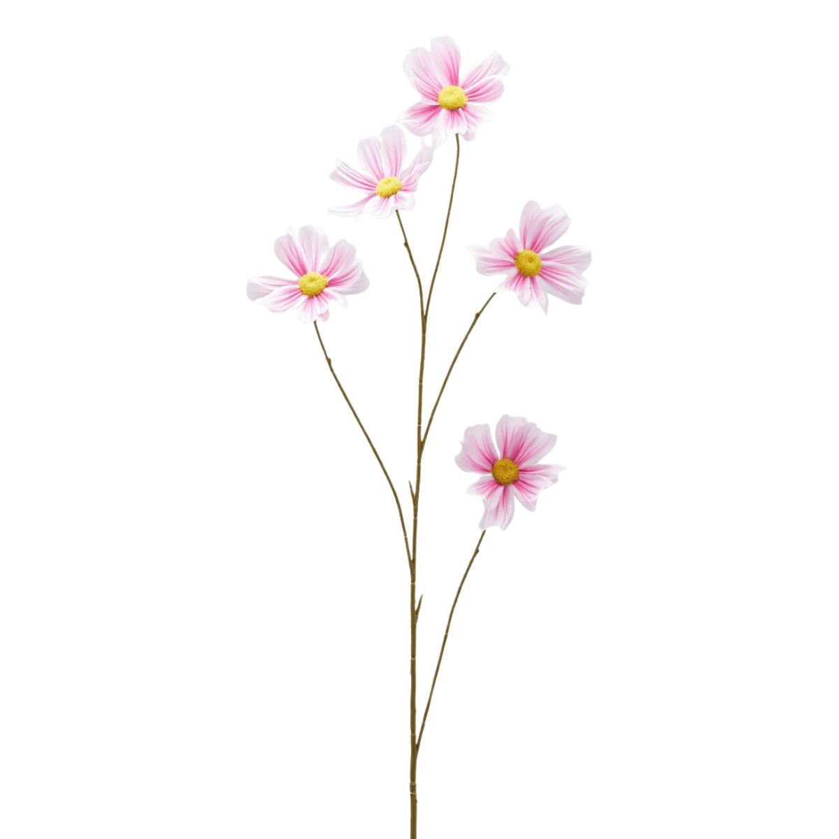 Artificial cosmos branch