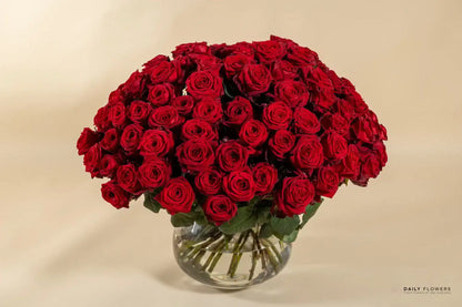 100 red roses