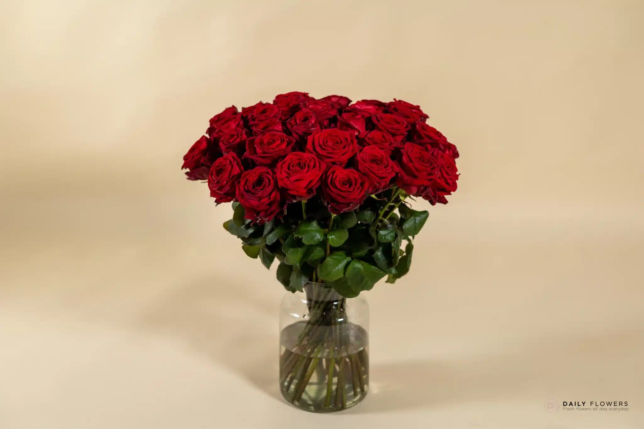 Big bouquet of 36 red roses