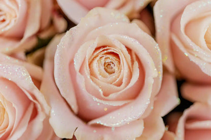 pink glitter rose