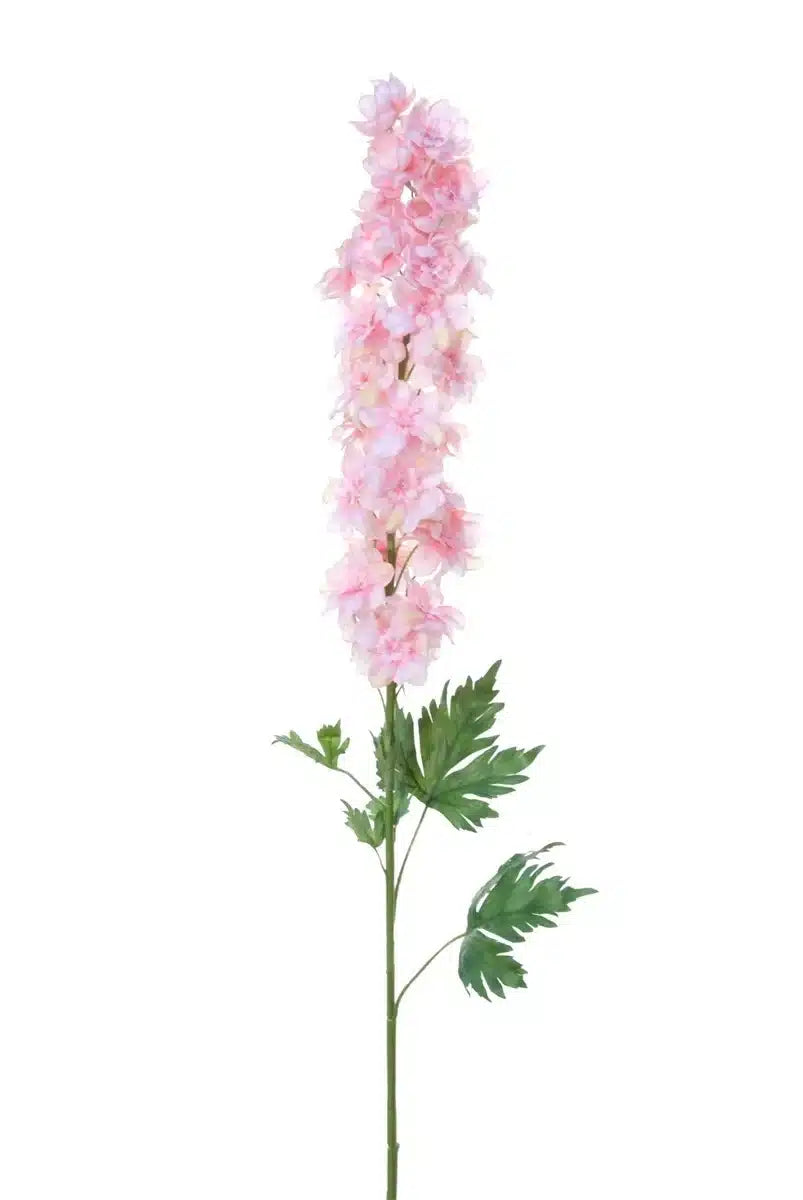 Delphinium - Pink