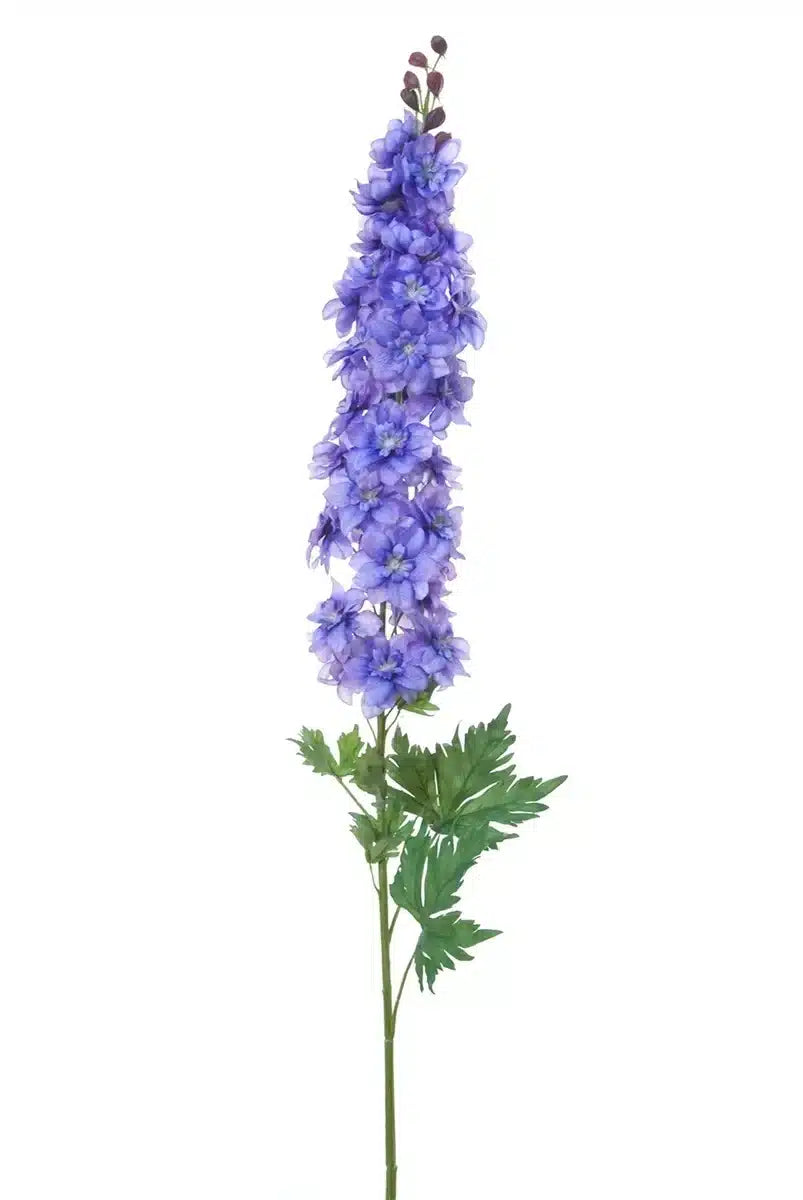 Delphinium - Purple