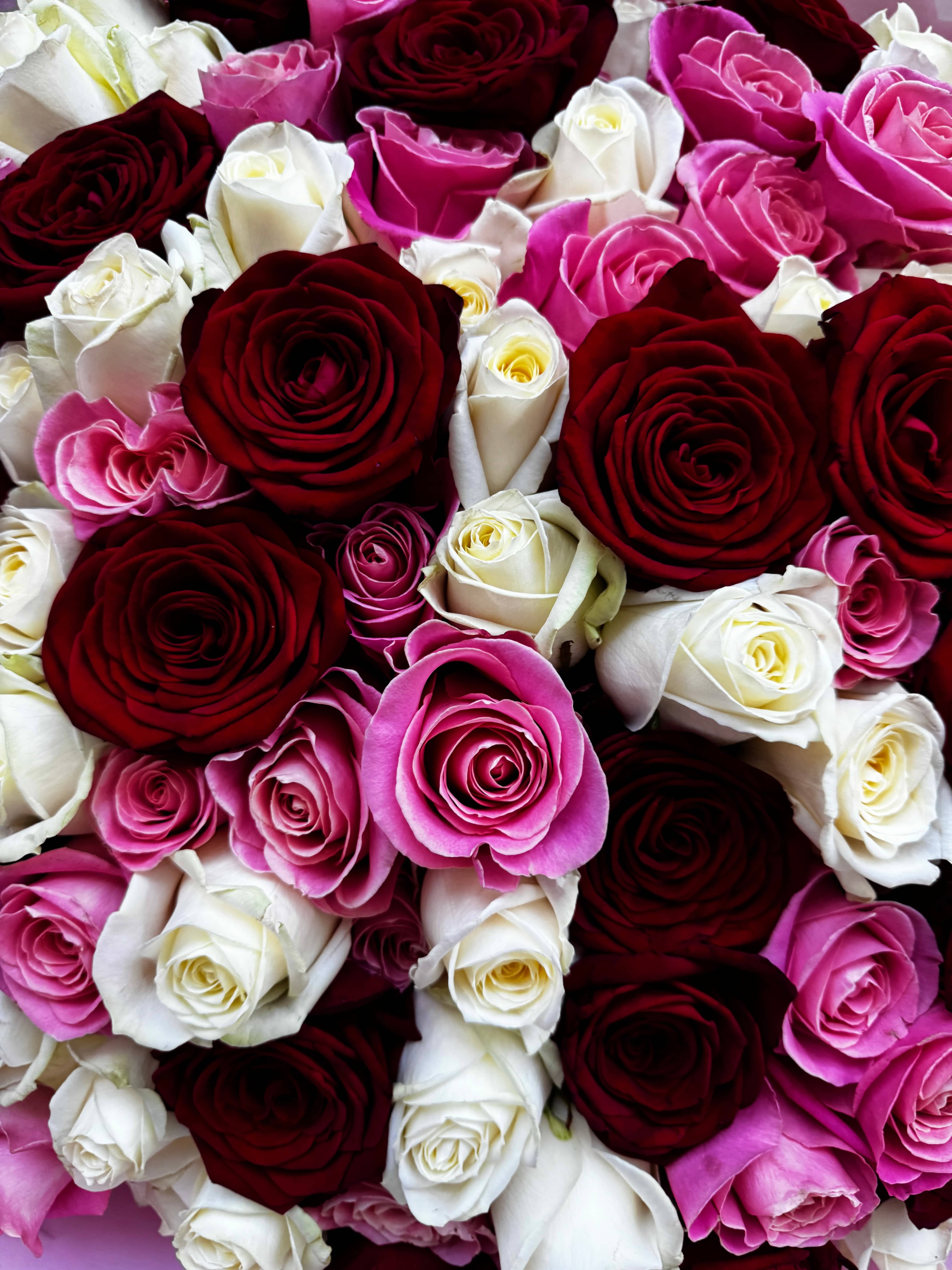 Choose Your Amount - White, Red & Pink roses