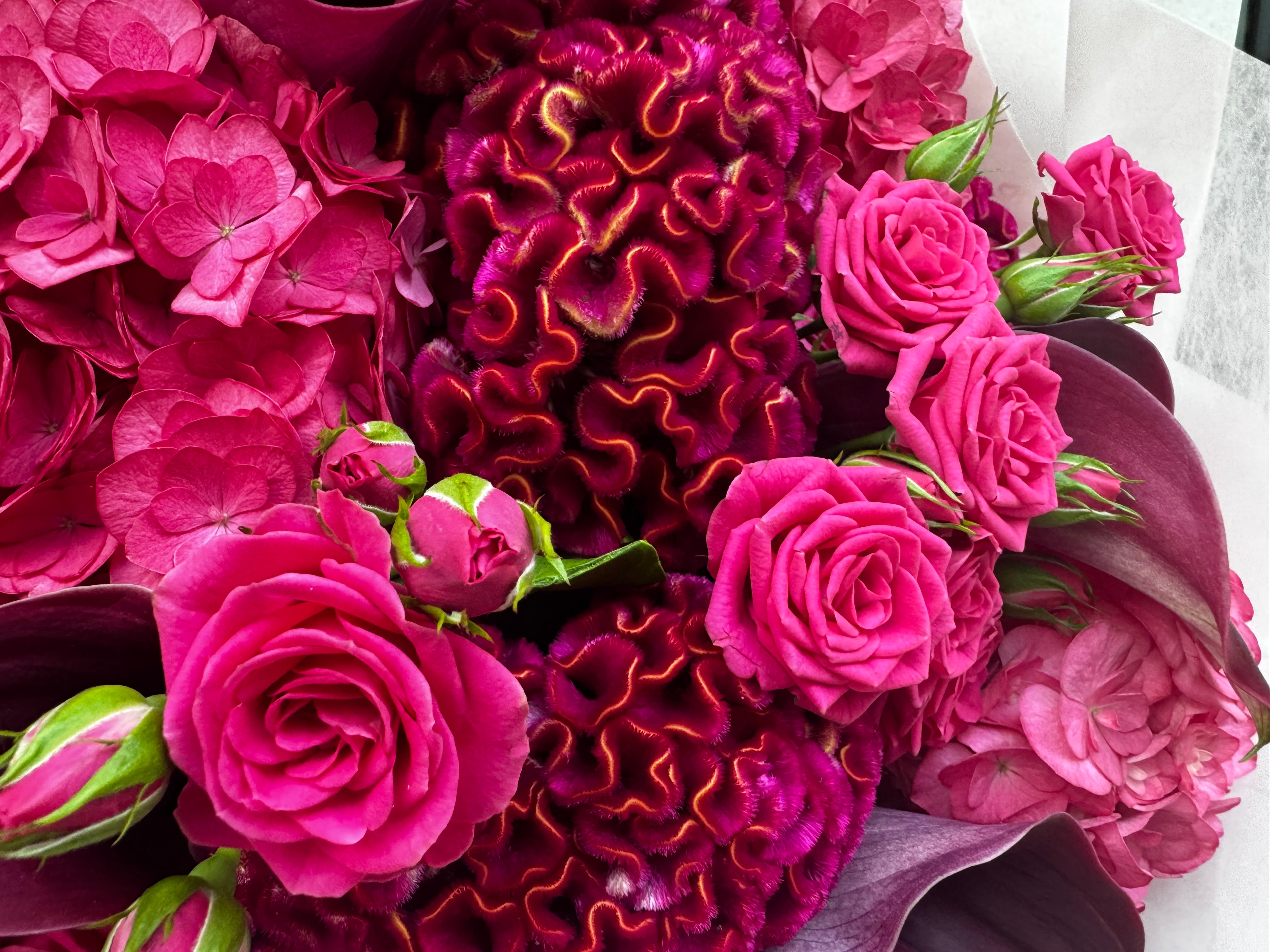 The pink bouquet of dreams - TikTok favorites