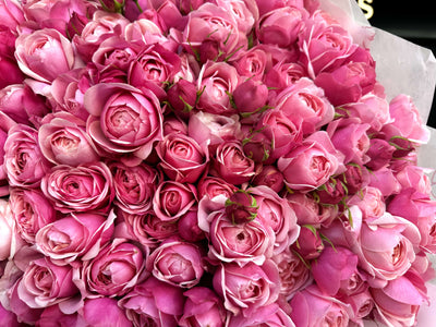 Kies je hoeveelheid - Pink Spray Roses