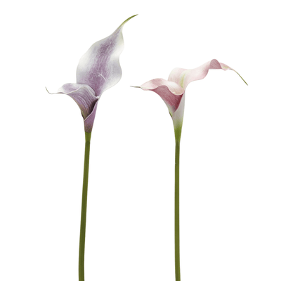 Artificial Calla lily stem