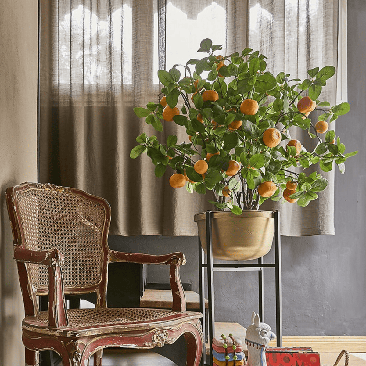 Artificial branch - Clementine