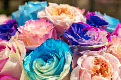 Flowers in a box - colored roses