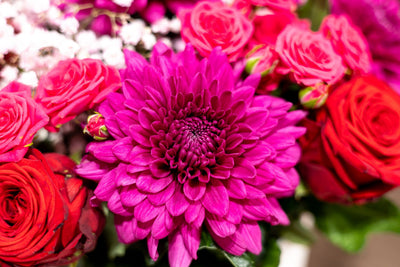 Blossom Box - Chic Burgundy Beauty