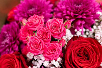 Blossom Box - Chic Burgundy Beauty