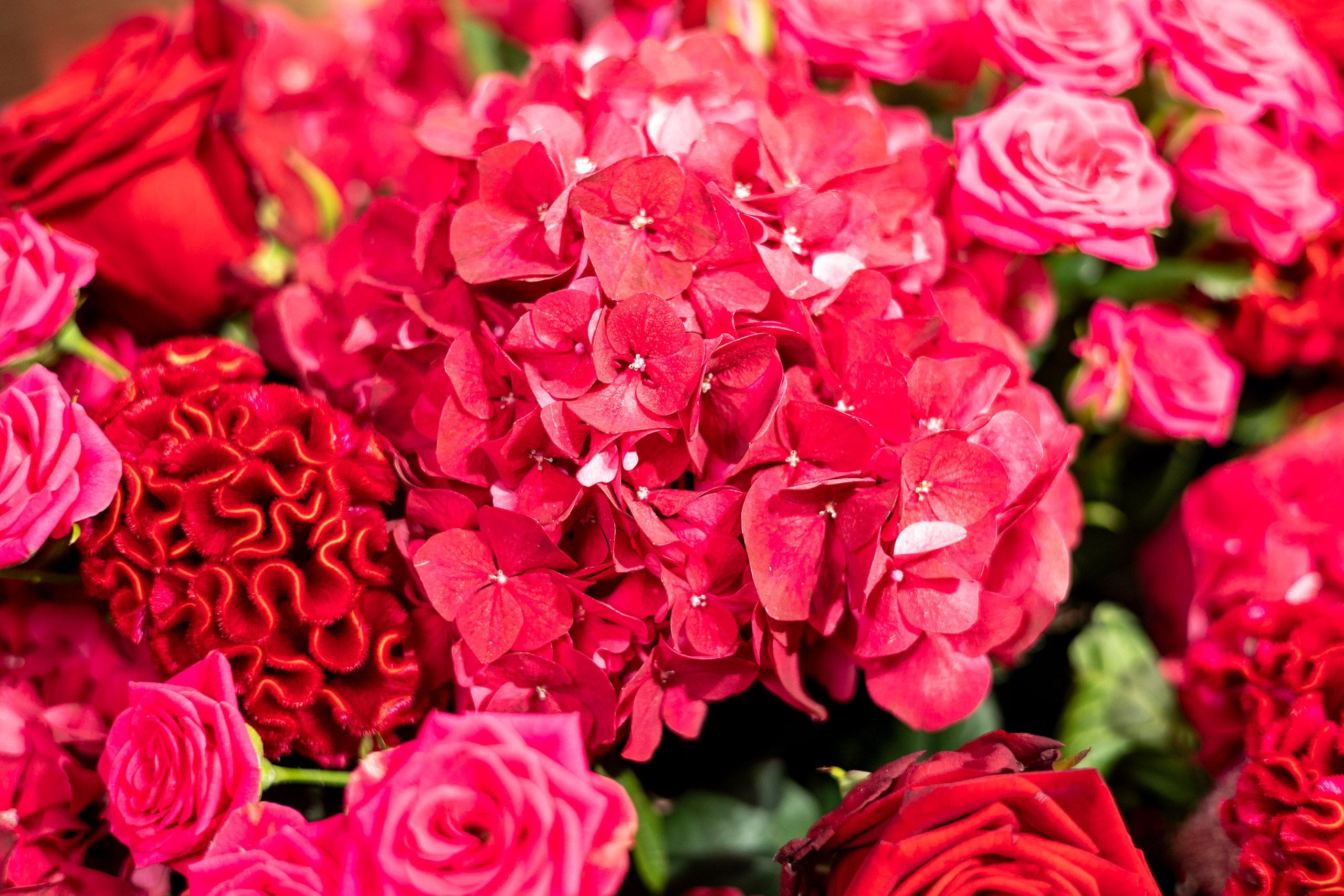 Blossom Box - Red Romance