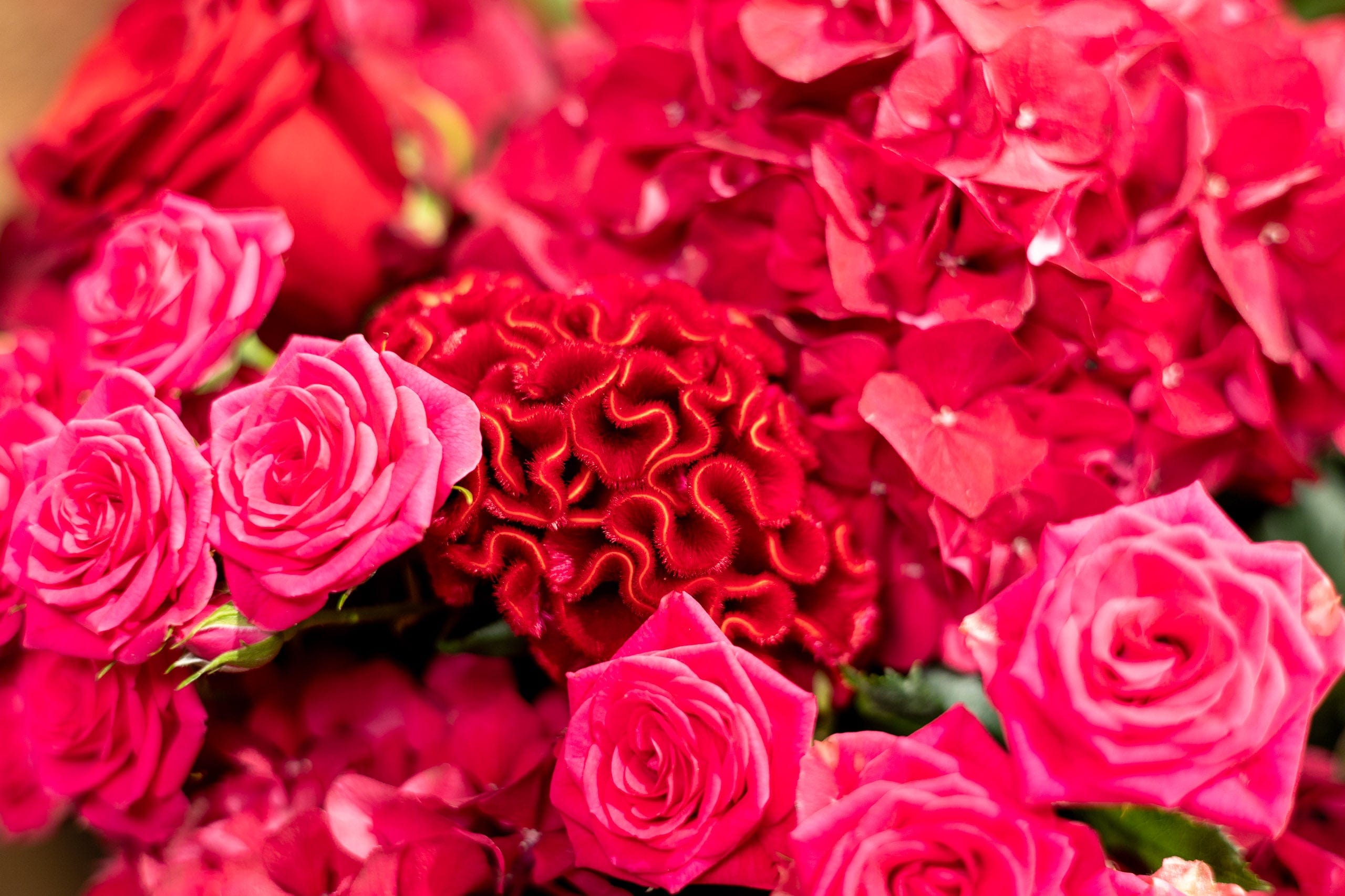 Blossom Box - Red Romance