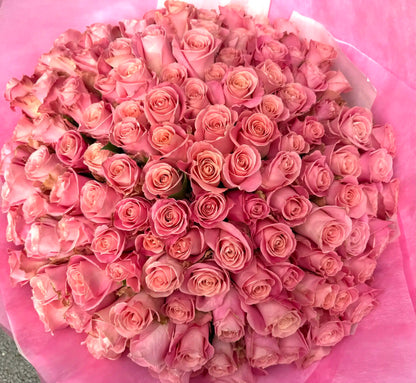 100 pink roses - Hermoza