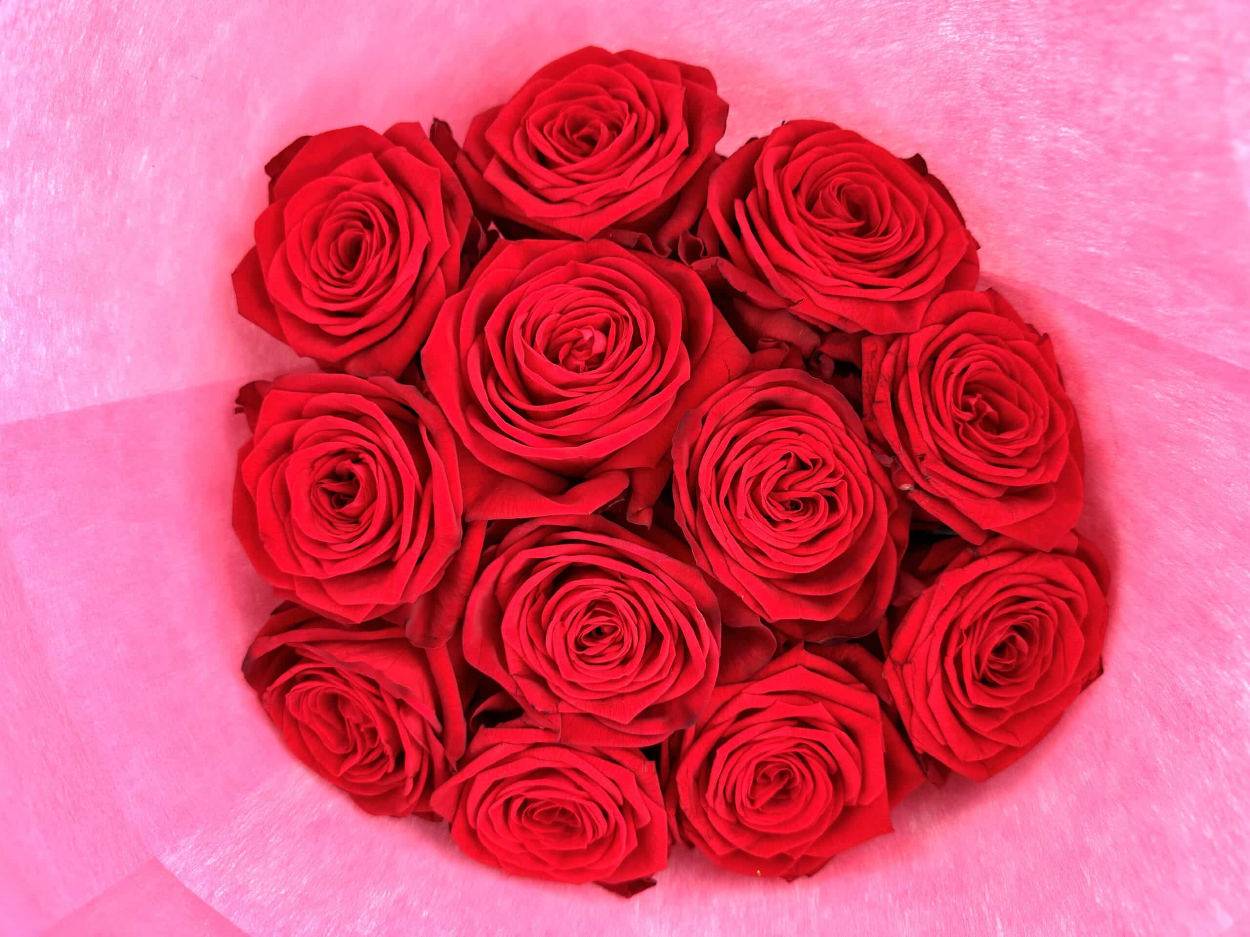 Bisous 12 red roses