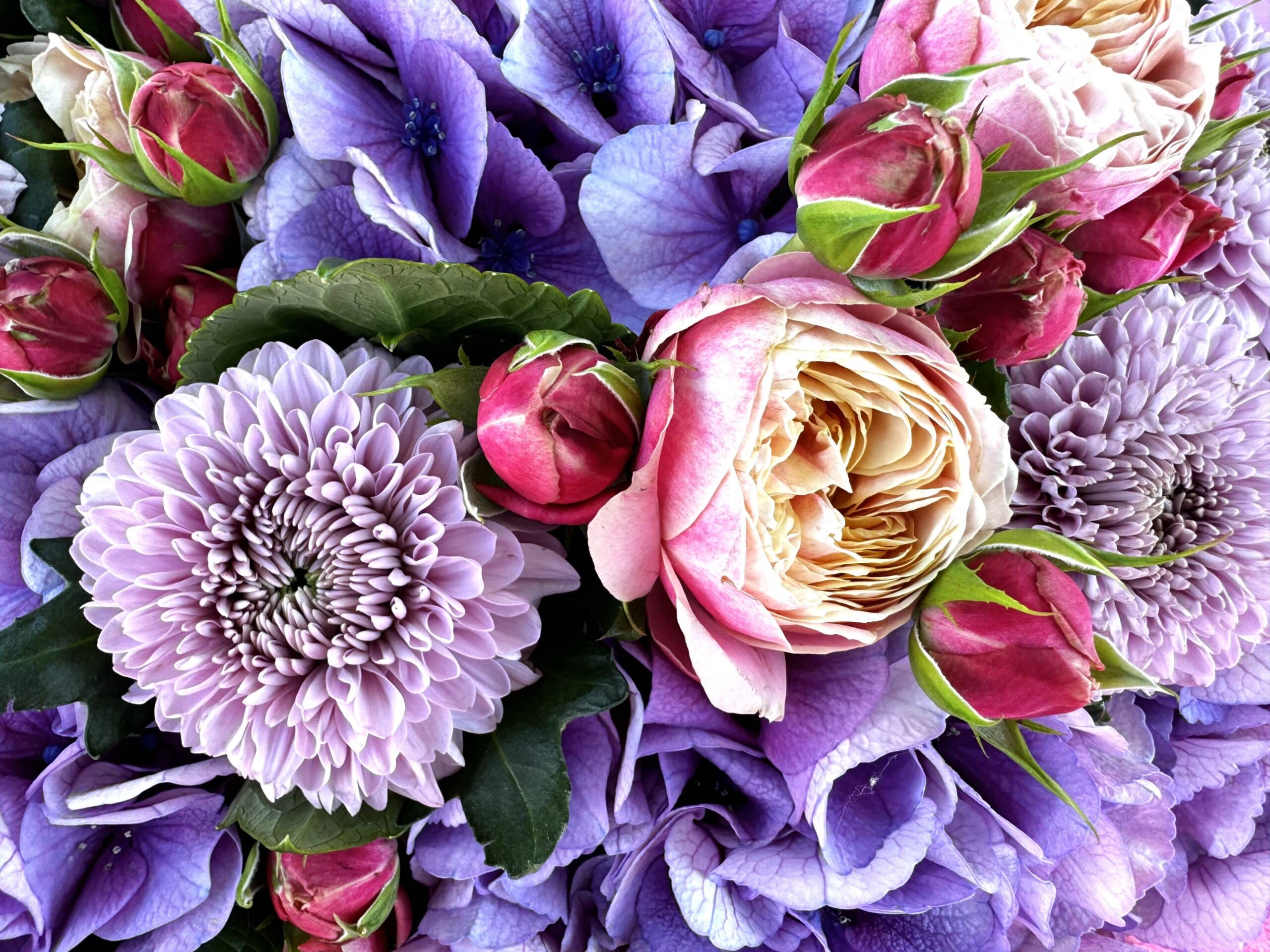 Velvet Princess Bouquet - Tiktok favorites