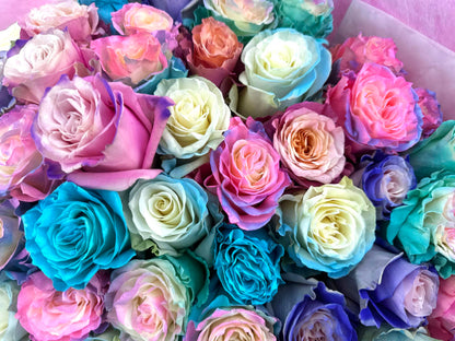 Colorful roses