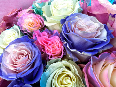 Colored roses bouquet