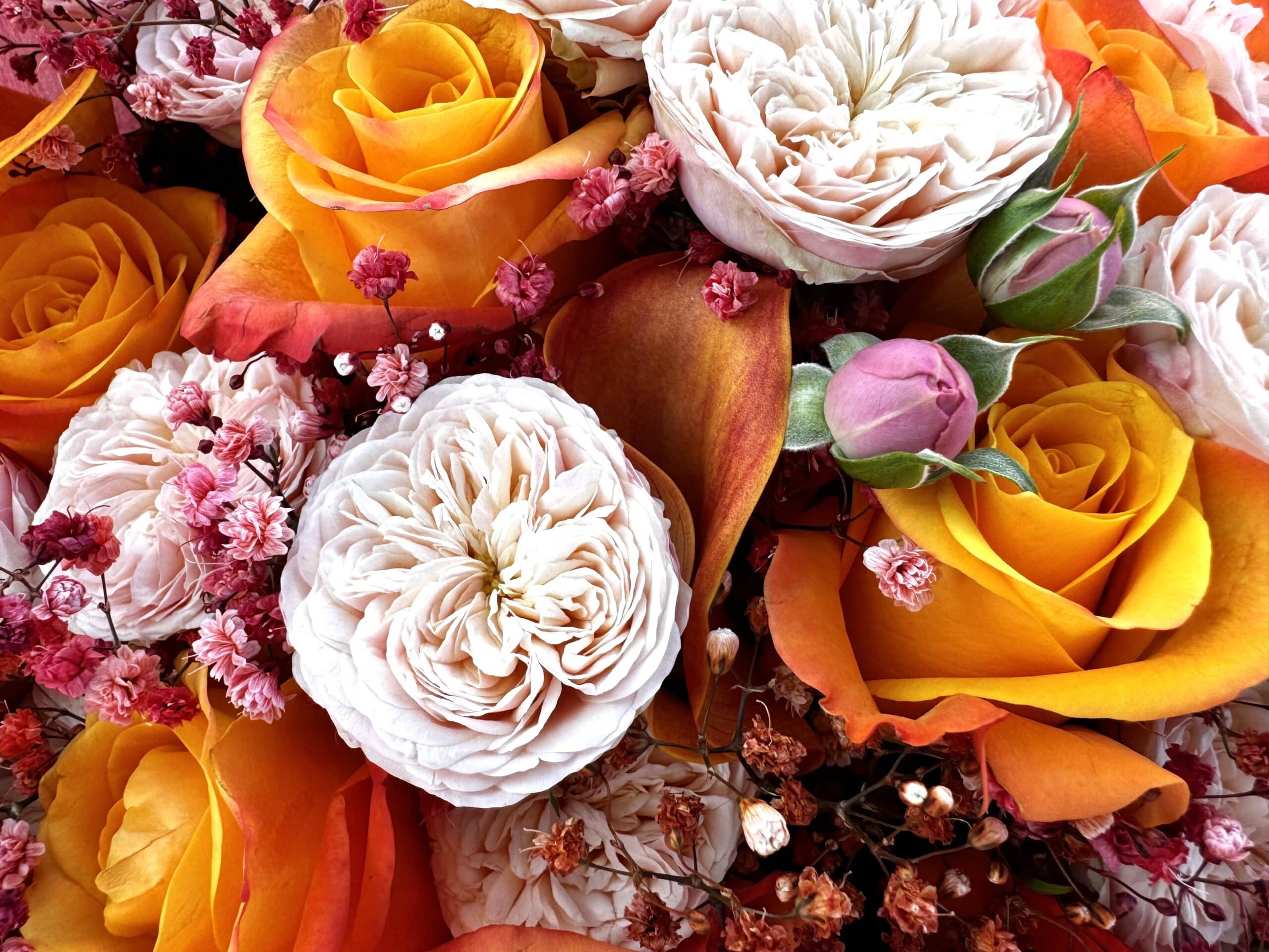 Fall flower bouquet of dreams - TikTok favorites