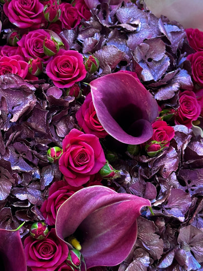 Festive Fireworks Berry - TikTok Favorites